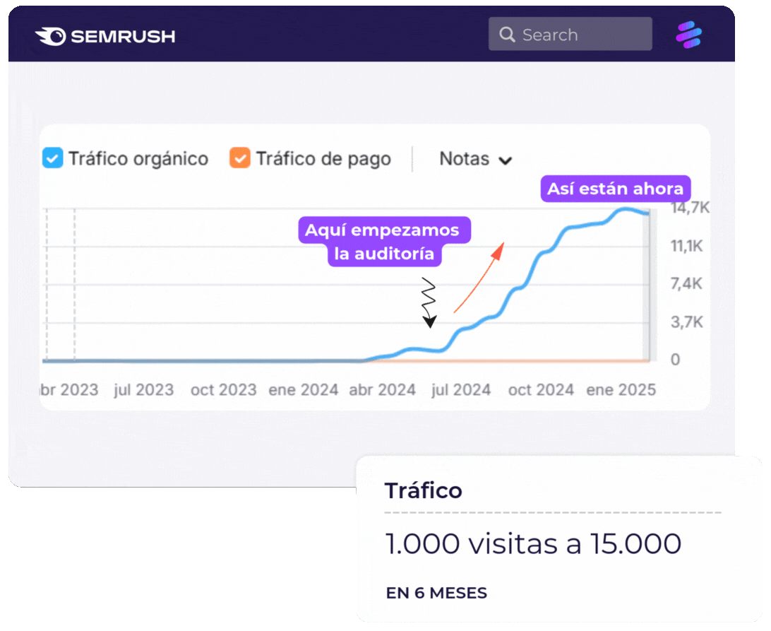 servicio auditoria seo